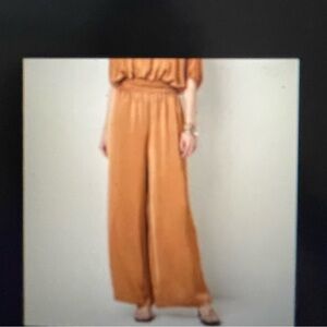 Worthington Wide-Leg Elastic Waist Satin Pants in Copper Women’s Plus Size 3X